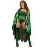 Charades Adult Poison Ivy Costume Adult Costumes