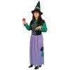 Alexander Costumes Adult Costumes Adult Melinda The Witch Costume
