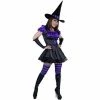 Charades Adult Storybook Witch Costume Adult Costumes