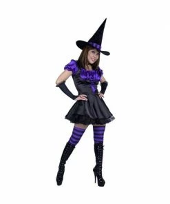 Charades Adult Storybook Witch Costume Adult Costumes