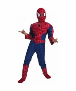 Disguise Child's Spider-Man Muscle Chest Costume