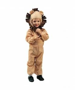 RG Costumes Toddler Lion Costume