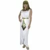Charades Adult Cleopatra Dress Costume Adult Costumes