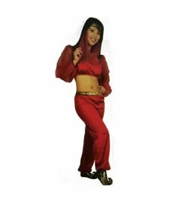 Charades Adult Fashion Harem Girl Costume