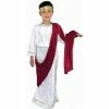 Charades Kids Costumes Child's Caesar Costume