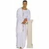 Underwraps Adult Costumes Adult Greek Senator Costume