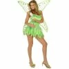 RG Costumes Sexy Pixie Fairy Costume Women's Costumes