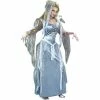 Fun World Adult Ghostly Goddess Costume Adult Costumes