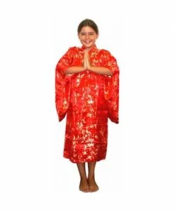 Underwraps Child's Kimono Costume