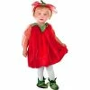 Fun World Toddler Strawberry Fairy Costume