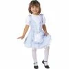 Cinema Secrets Toddler Little Dorothy Costume
