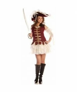 Exclusive Adult Sexy Classy Pirate Costume Adult Costumes