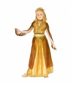 Fun World Childs Belly Dancer Costume Kids Costumes