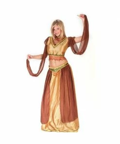 Fun World Adult Sexy Belly Dancer Girl Costume