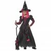 California Costume Child's Wiley Witch Costume