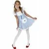 Charades Preteen Dorothy Costume