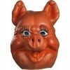 Disguise Deluxe Farm Animal Pig Mask Masks