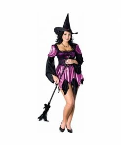 Rubies Adult Costumes Adult Purple Plus Size Sexy Witch Costume