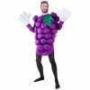 Exclusive Adult Purple Grapes Costume Adult Costumes 1 Exclusive Adult Purple Grapes Costume Adult Costumes