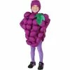 Exclusive Child Purple Grapes Costume Kids Costumes