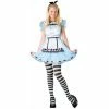 Fun World Teen Alice In Wonderland Costume Kids Costumes