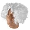 Lacey Wigs Adult Mad Scientist Wig