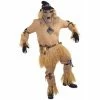 Forum Novelties Inc. Adult Costumes Adult Frightening Scarecrow Costume