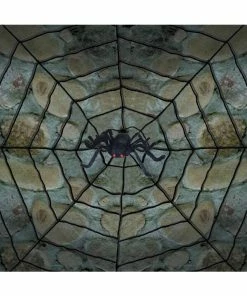 Sunstar Decor Spiderweb With Spider Prop