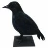 Exclusive Crow Decoration