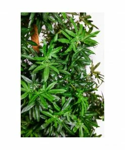Exclusive Decor Weed Marijuana Leaf Artificial Christmas Tree